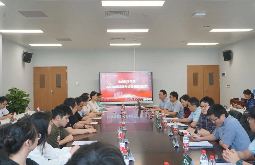 image-20240131222902-1